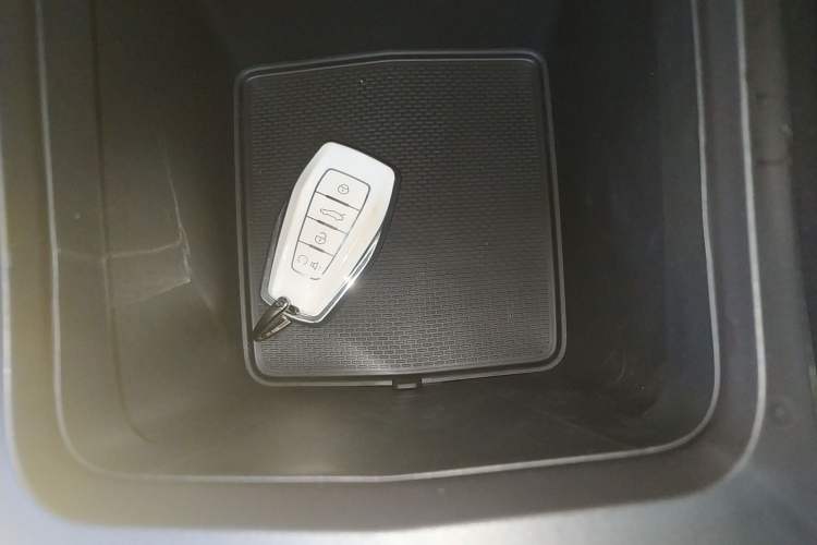 Used Geely Auto Monjaro L 2024 2.0TD High-Power Automatic Two-Wheel Drive Skyline Edition
