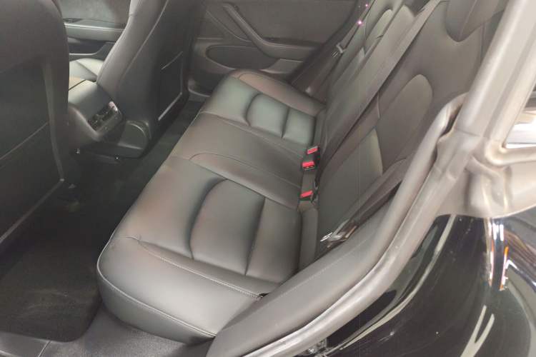 Used Tesla Model 3 2020 Revised Version Standard Range Rear-Wheel Drive – Upgraded Edition