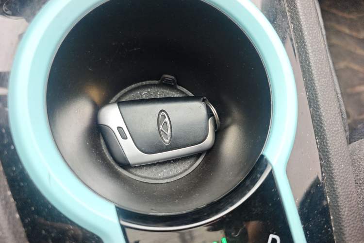 Used Chery Little Ant 2021 150 000 Yuan "Ant Fan" Edition New Ant Xuan Version Lithium-NMC Battery Vehicle Key