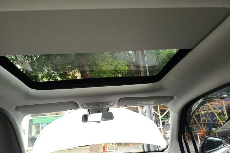 Used Leapmotor T03 2021 400 Luxury Edition Headliner