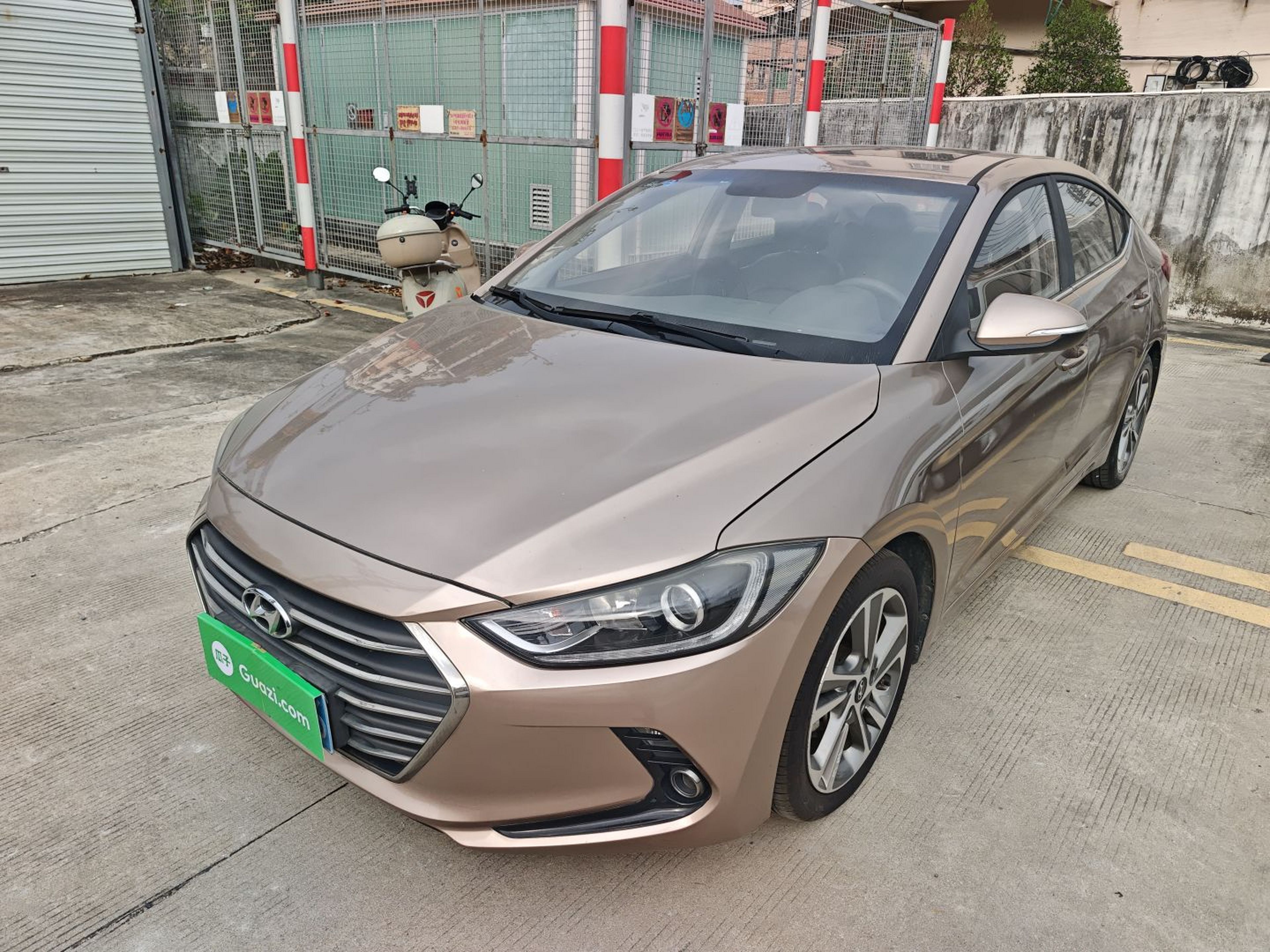 تحت مقدمة السيارة