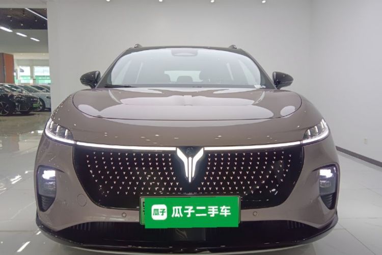 Used VOYAH COURAGE 2024 Four-Wheel Drive Global Edition