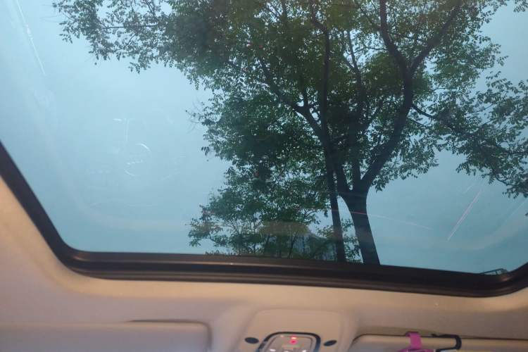 Used Audi A4L 2020 40 TFSI Fashion Dynamic Model Headliner