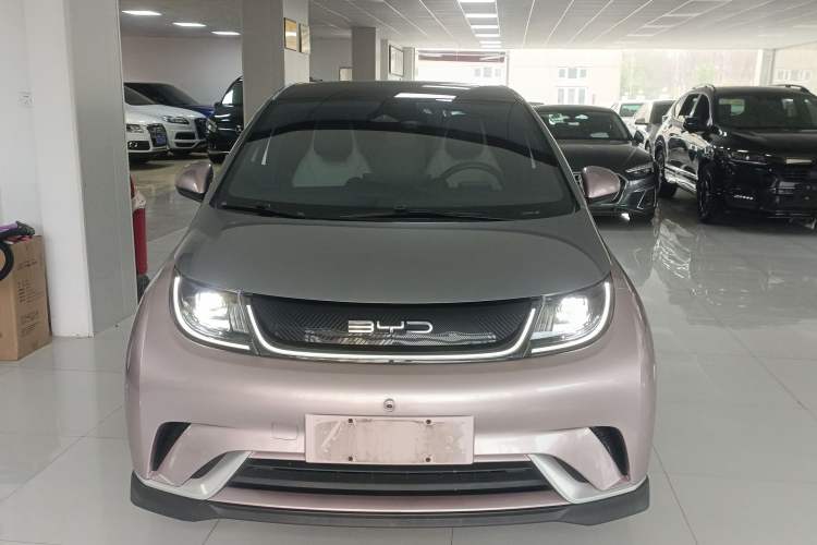 Used BYD Dolphin 2021 401km Knight Edition