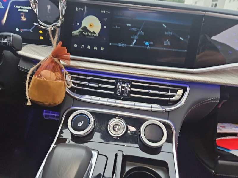Used Hongqi H9 2020 3.0T Smart Connect Flagship Edition — 9