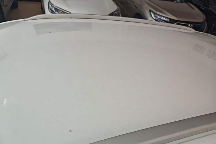 Used BYD e2 2021 Luxury Model
