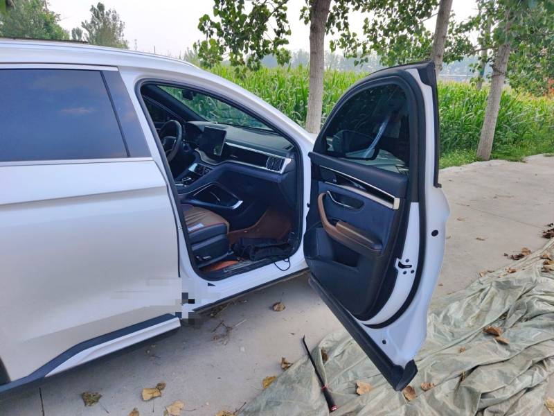 Used BYD Song PLUS 2020 1.5T Automatic Flagship PLUS — 22