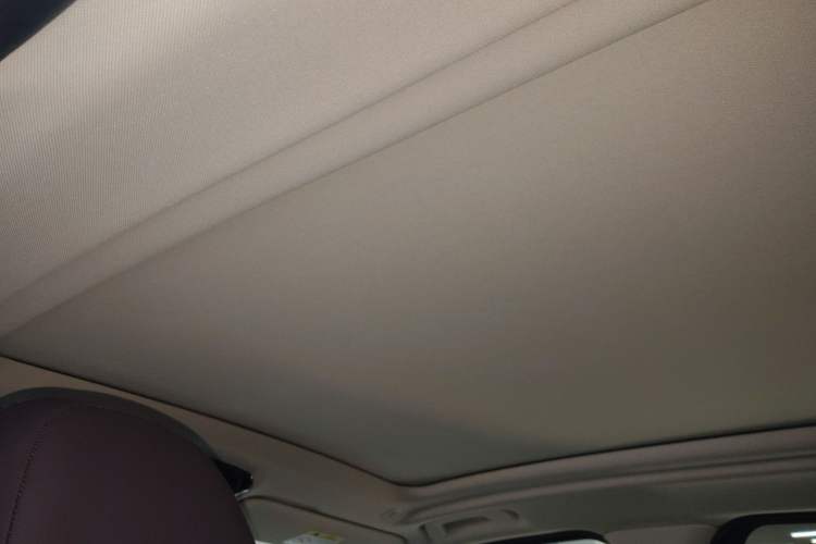 Used BMW iX3 2021 Leading Type Headliner