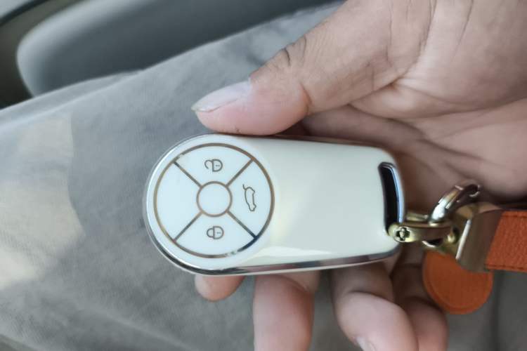 Used ORA Good Cat 2023 401 km Standard Range Premium Trim Ternary Lithium