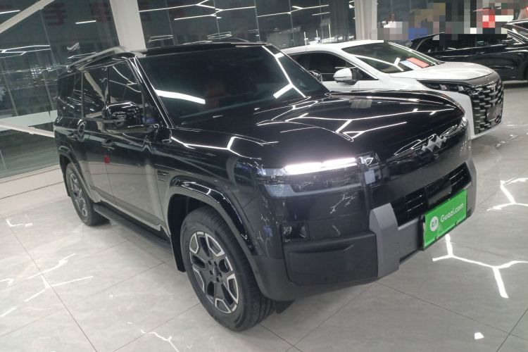 Used Formula Leopard Tai 7 2025 Model 200 km Two-Wheel Drive Max Edition