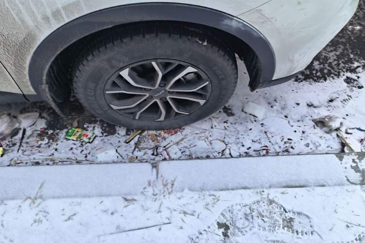 Used Haval H6 2021 National Trend Edition 1.5T Automatic Urban Version
