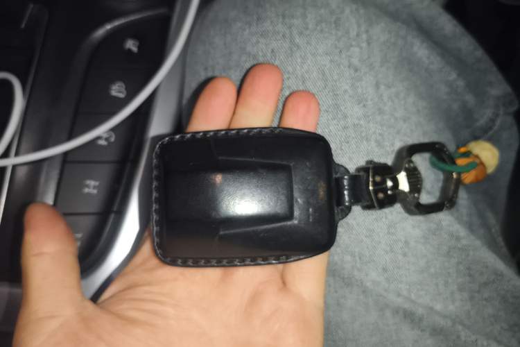 Used Tank 300 2021 Off-Road Edition 2.0T Conqueror Vehicle Key