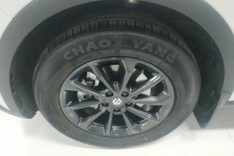 Used Leapmotor C11 2024 Range-Extended 300 Smart Enjoyment Edition
