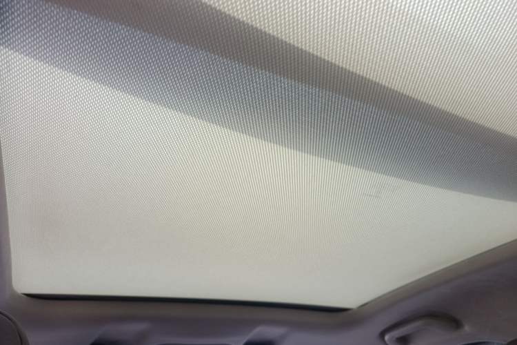 Used Wey VV6 2021 2.0T Two-Wheel Drive Smart Protection+ Headliner