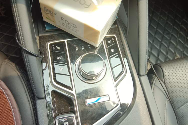 Used Dongfeng Fengon E3 2019 EVR Extended-Range Luxury Model Gear Lever