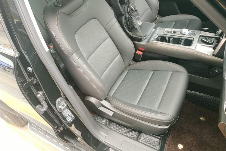 Used Haval DARGO 2024 2.0T DCT Chinese Rural Dog Edition Right Front Seat