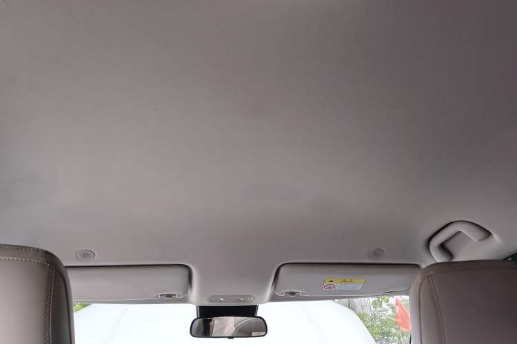 Used BYD Yuan UP 2024 401KM Leading Edition Headliner