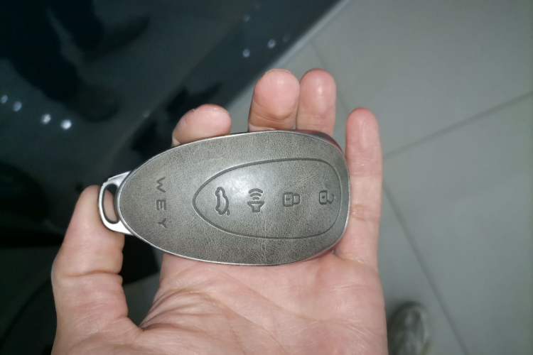 Used Wey Lanshan 2025 Four-Wheel Drive Max Interior 1