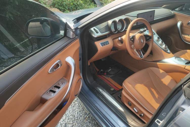 Used ORA Lightning Cat 2022 555 km Luxury Edition Driver Seat