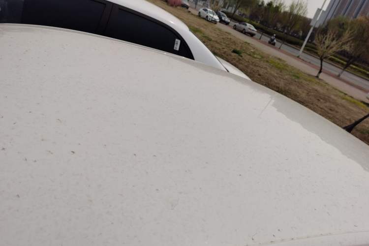 Used Volkswagen Santana 2018 1.5L Manual Fashion Edition
