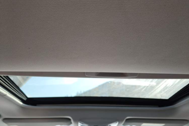 Used Toyota RAV4 2020 2.0L CVT 4x4 Style PLUS Edition Headliner