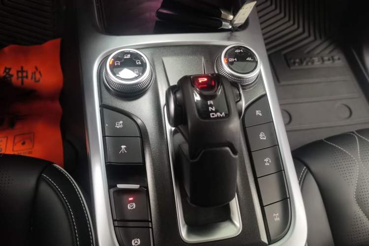 Used Tank 300 2021 2.0T Monet Tribute Limited Edition Gear Lever