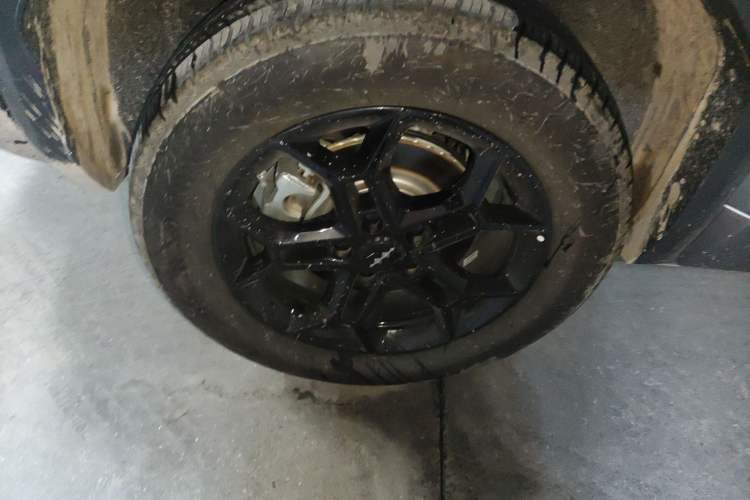 Used Formula Leopard Titanium 3 2025 501 km Range Rear-Wheel Drive Intelligent Driving Pro Version