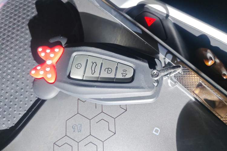 Used Geometry C 2020 Selected Range Edition 550 KM C++ Vehicle Key