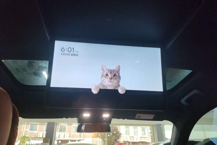 Used Li Auto L7 2024 Ultra Model Headliner