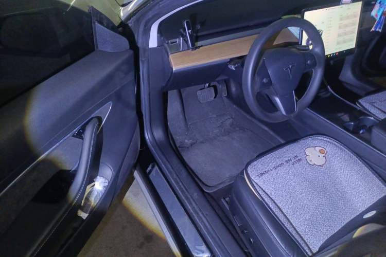 Used Tesla Model 3 2020 Revised Version Standard Range Rear-Wheel Drive – Upgraded Edition