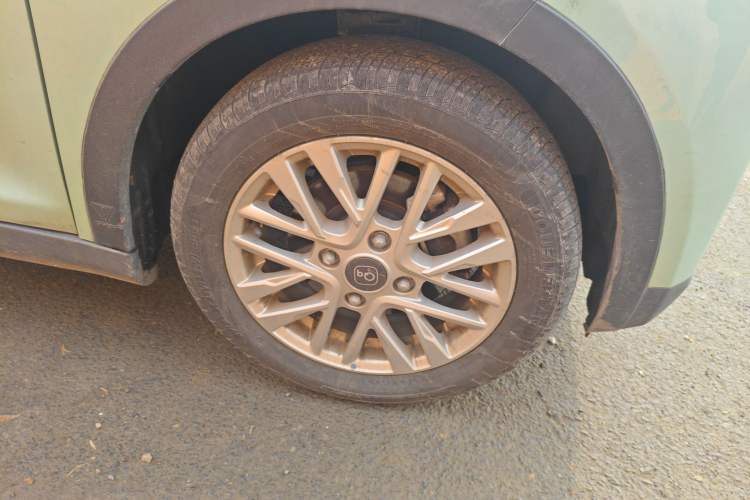 Used Chery Little Ant 2024 321km Love Edition