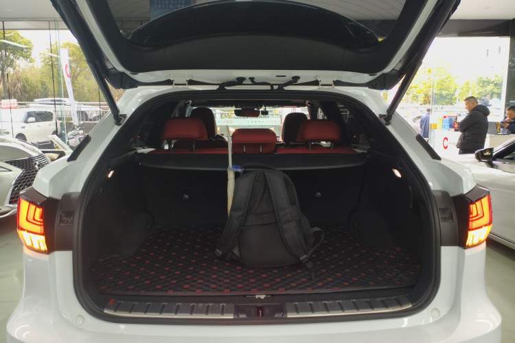 Used Lexus RX 2020 300 4x4 F SPORT China VI
