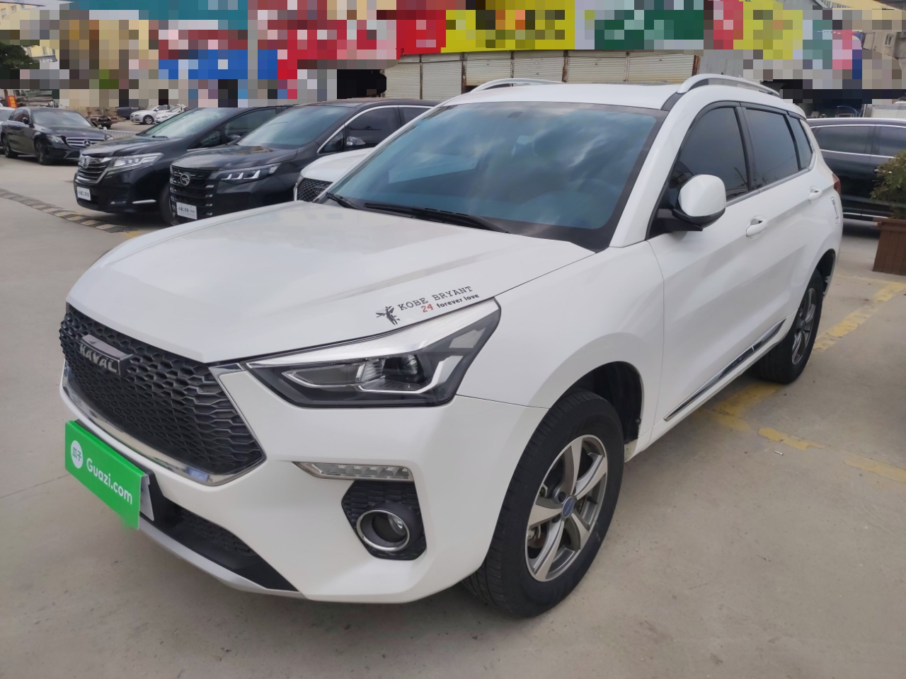 Parte inferior delantera