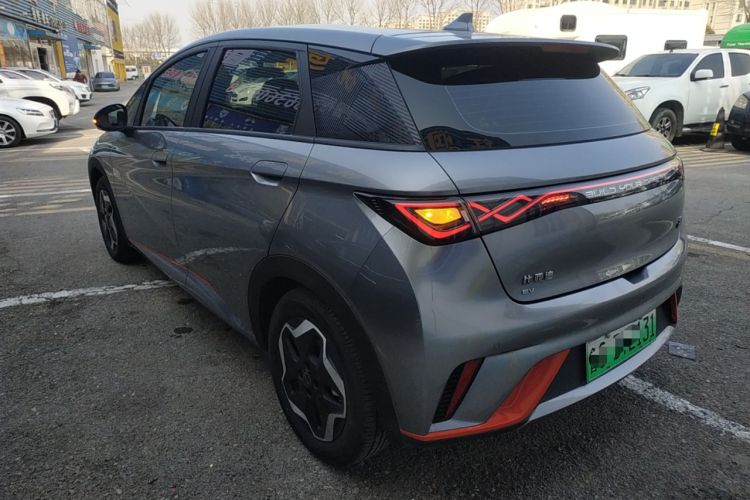 Used BYD Dolphin 2021 405 km Free Version