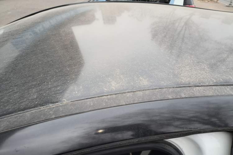 Used SOL E10X 2022 Flower Fairy Style Baby's Breath
