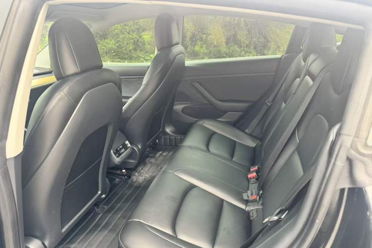 Used Tesla Model 3 2020 Standard Range Rear-Wheel Drive Upgraded Version