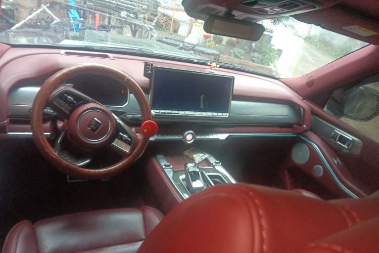 Used Tank 700 New Energy 2024 Hi4-T Extreme Edition Center Console