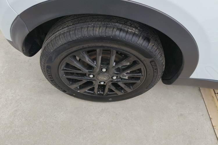 Used Chery Little Ant 2026 Model 271km True Love Version
