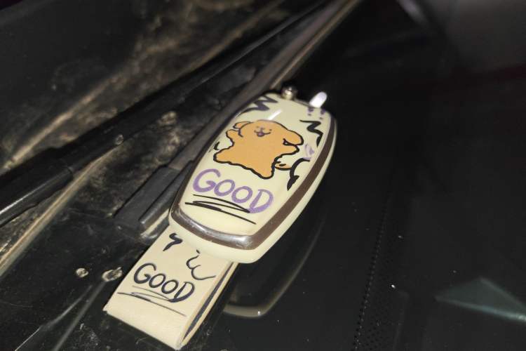 Used Haval H6 2021 3rd Generation 2.0T Automatic Two-Wheel Drive Max