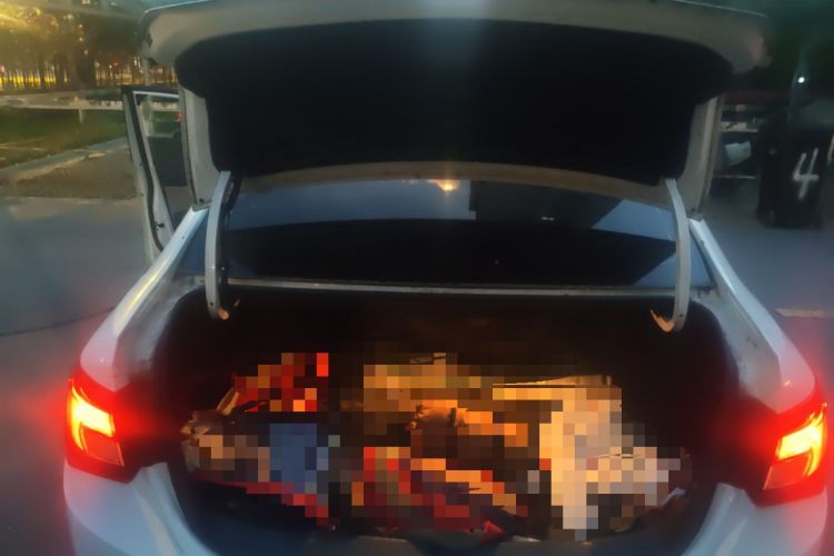 Used Buick GT 2016 15N Automatic Elite Edition Trunk