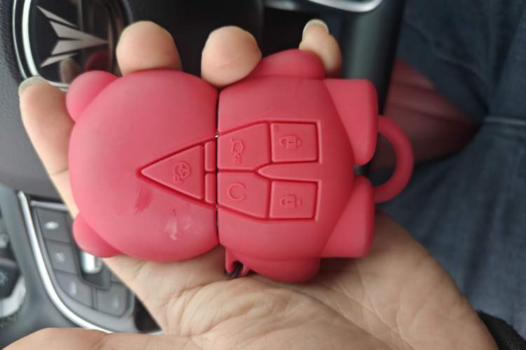 Used Changan CS75 PLUS 2022 1.5T Automatic Luxury Model
