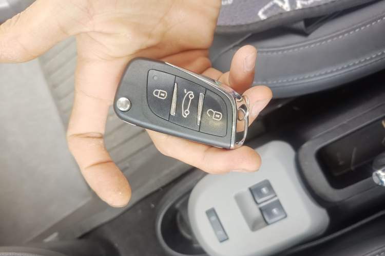 Used ORA Black Cat 2019 351 km Family Edition