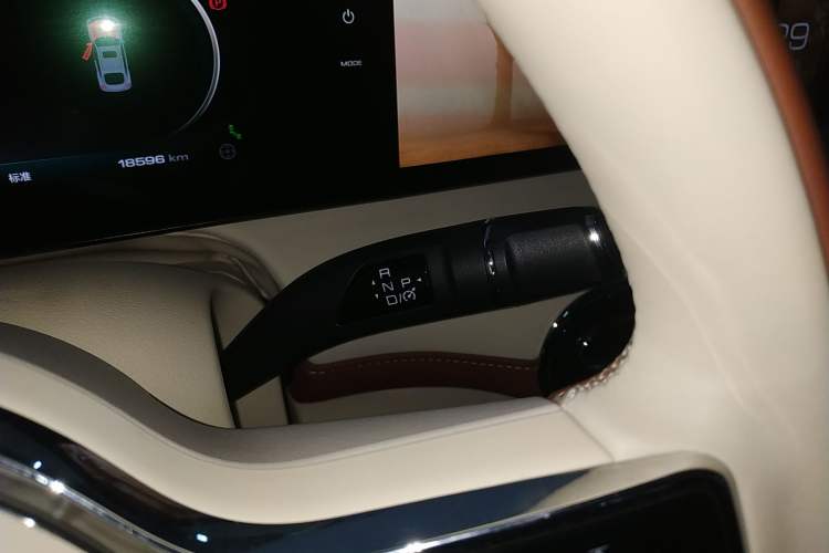 Used ORA Ballet Cat 2023 401 km Luxury Version