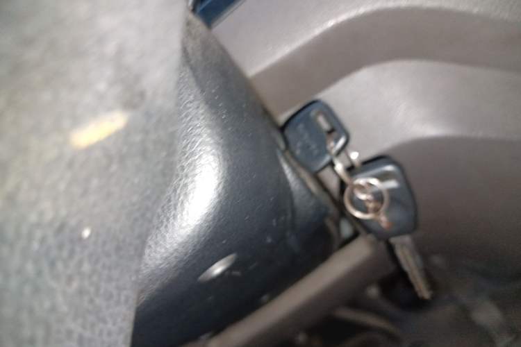 Used New Gonow Shuailing 2022 Standard Range with 41.64 kWh Lishen Power
