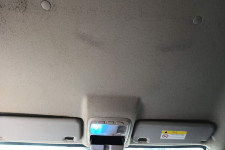 Used Land X8 2017 2.0T Gasoline 4x2 Luxury Edition Headliner