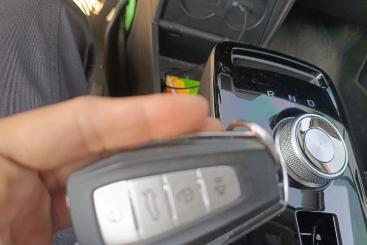 Used Geometry E Firefly 2023 401KM Linglong Tiger 5-Seater
