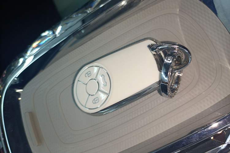 Used ORA Ballet Cat 2022 401 km Nutcracker Edition