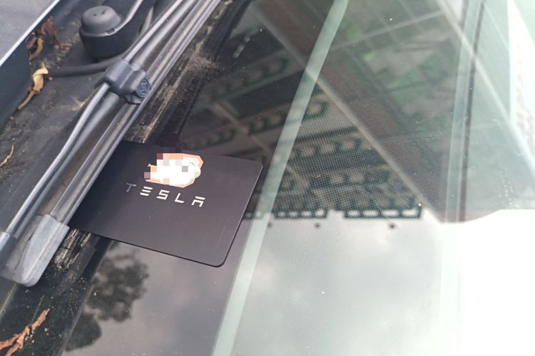 Used Tesla Model 3 2022 Rear-Wheel-Drive Version