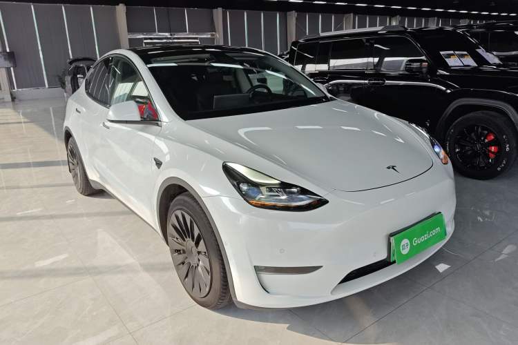 Used Tesla Model Y 2021 Long-Range All-Wheel-Drive Version 3D7