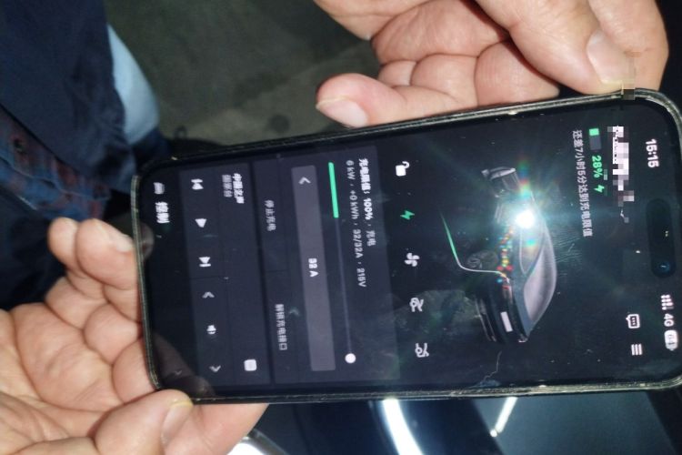 Used Tesla Model 3 2025 Rear-Wheel-Drive Version
